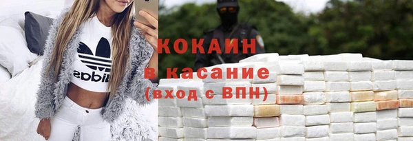 индика Арсеньев