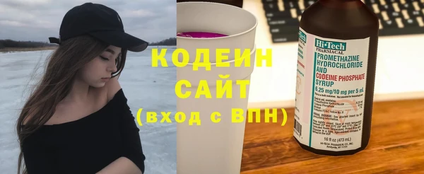 индика Арсеньев