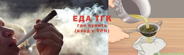индика Арсеньев