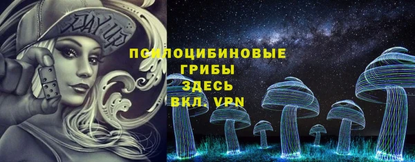 винт Армянск