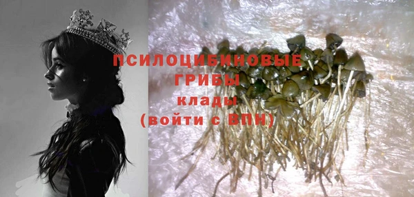 тгк Аркадак
