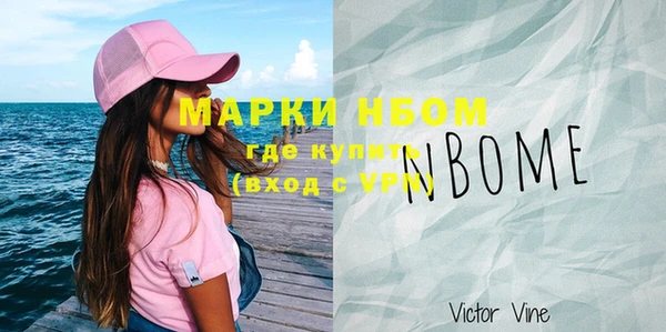 индика Арсеньев
