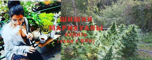 индика Арсеньев
