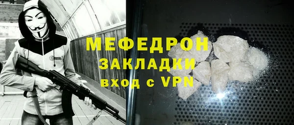 индика Арсеньев