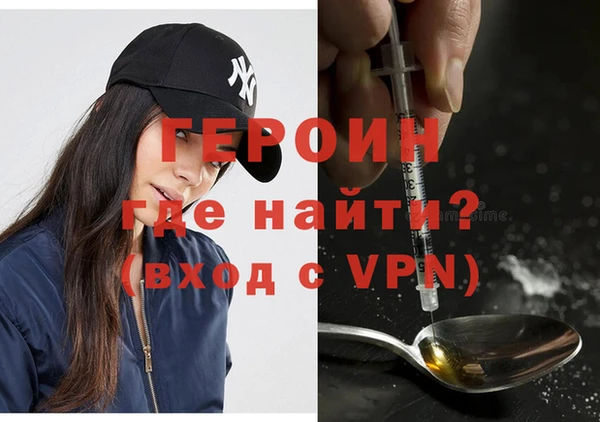 индика Арсеньев