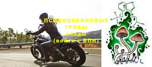 винт Армянск