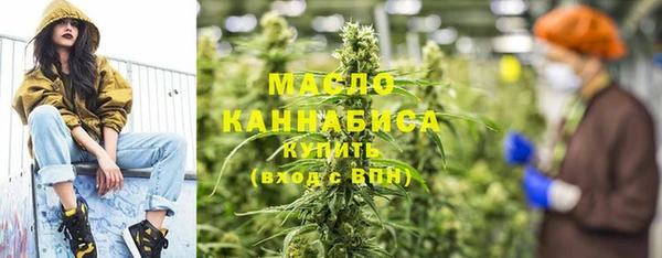индика Арсеньев