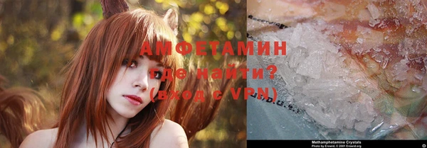 индика Арсеньев