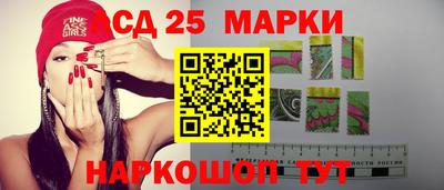 гидра Шахты