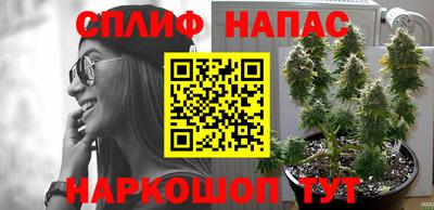 гидра Шахты