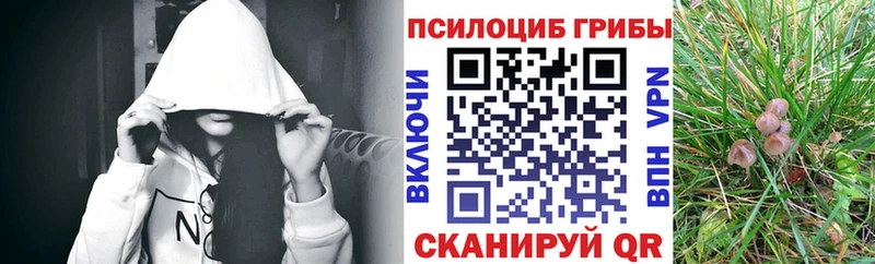 мориарти клад  Баксан  Псилоцибиновые грибы ЛСД 